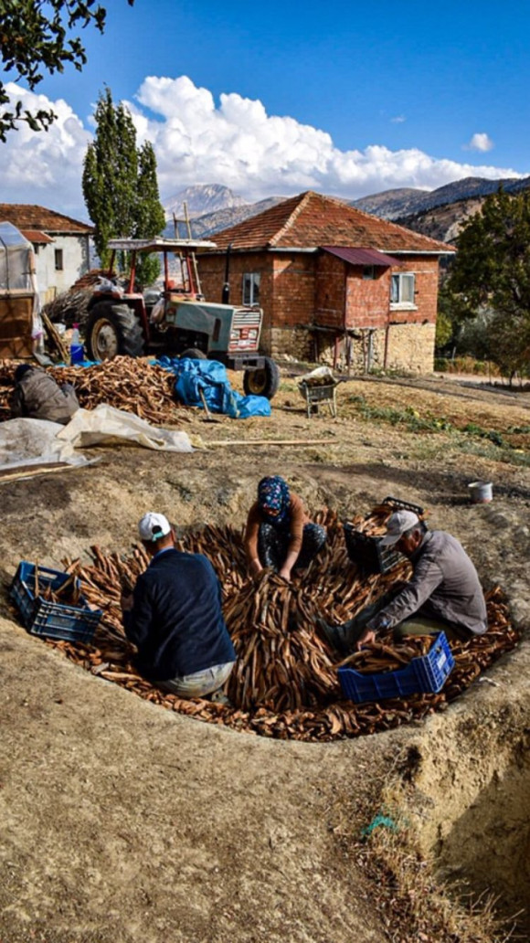 Elmalı’dan Likya’ya Kültür ve Doğa Turu