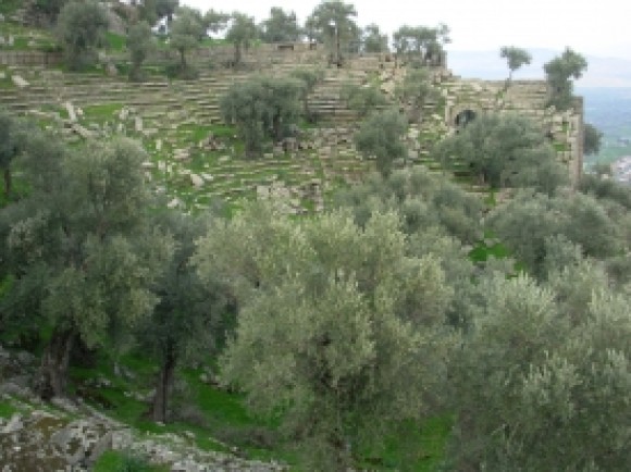 Karya Arkeloji Turu - Antik Kent Kültür Turları