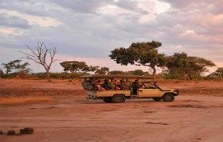 Afrika’nın Kalbinde: Vahşi Afrika ve Viktorya Şelaleleri